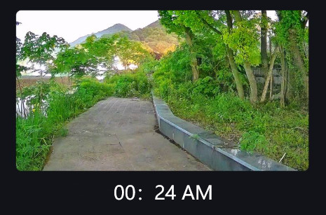 Karanlıkta Görmek: Gece Görüş Güvenliği İçin Basit Bir Kılavuz Siyah Işık Kameraları